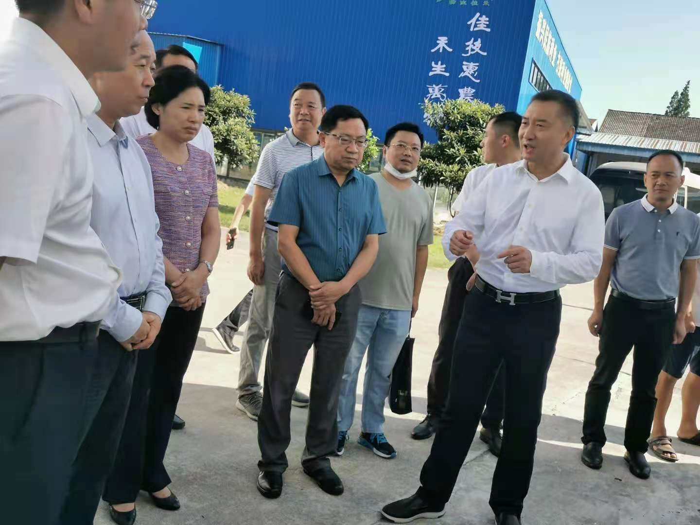 农业农村部领导来我公司调研指导