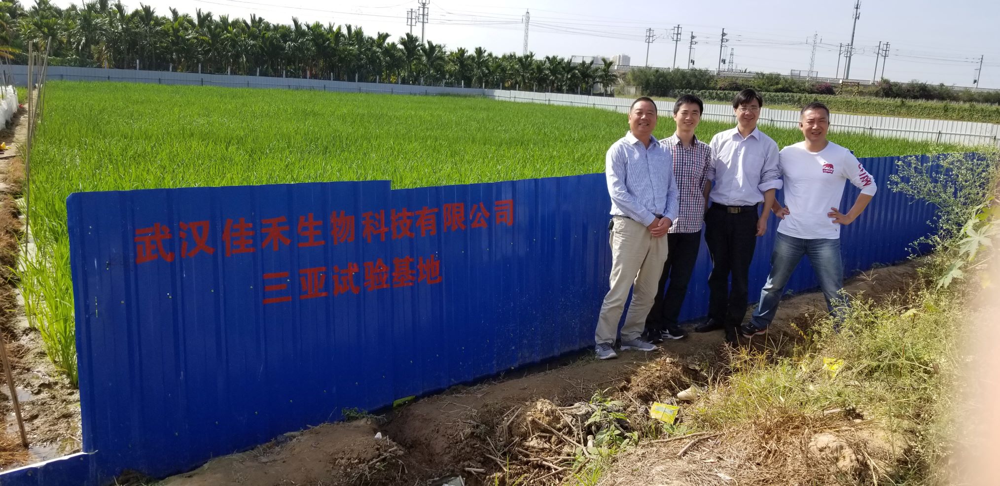 祝科长考察我公司三亚水稻育种试验基地